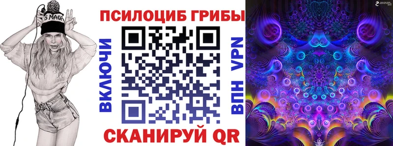 Псилоцибиновые грибы мухоморы  магазин  наркотиков  Тбилисская 